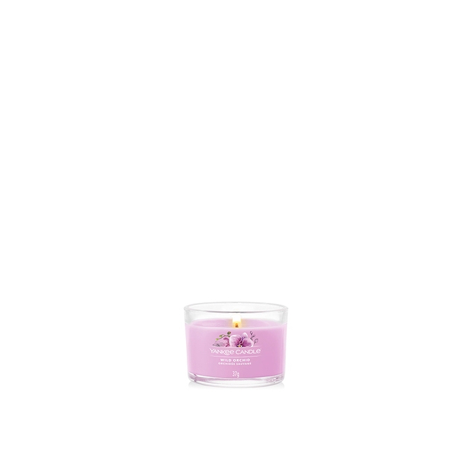 Wild Orchid
