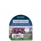Zdjęcie wosku zapachowego Lilac Blossoms