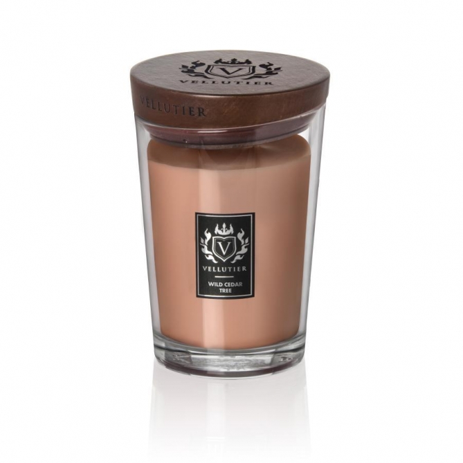 Zdjęcie świecy w dużym słoiku Wild Cedar Tree 515 g